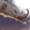 Small
