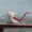 Small