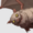 Small
