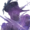 Small