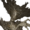 Small