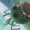 Small