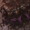 Small