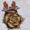 Small