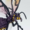 Small