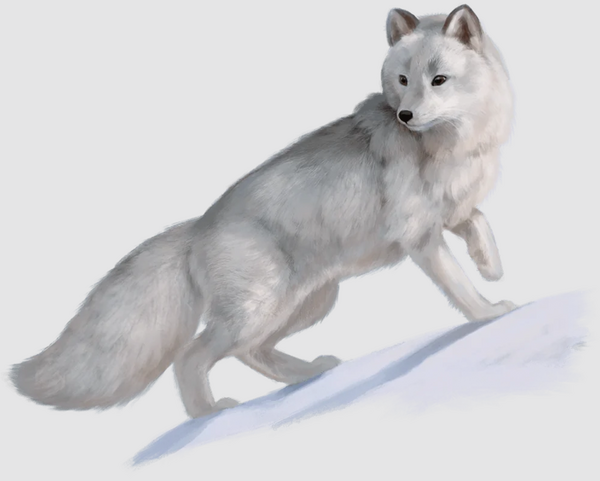 Medium