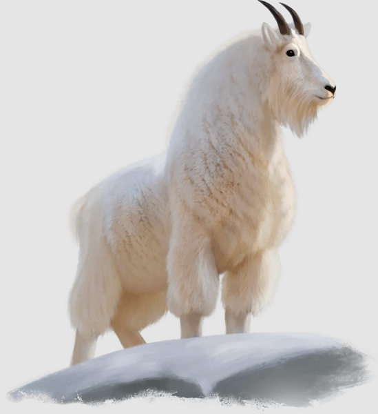 Medium