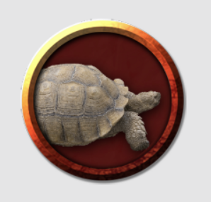 Medium