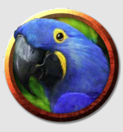 Medium