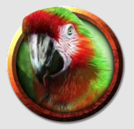 Medium