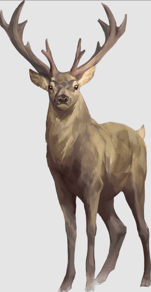 Medium