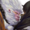 Small