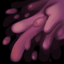 Small